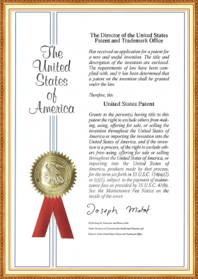 US Patents